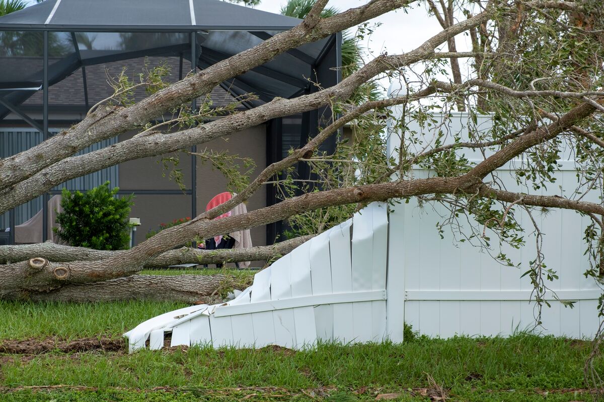 after hurricane fencing local companies brandon fl